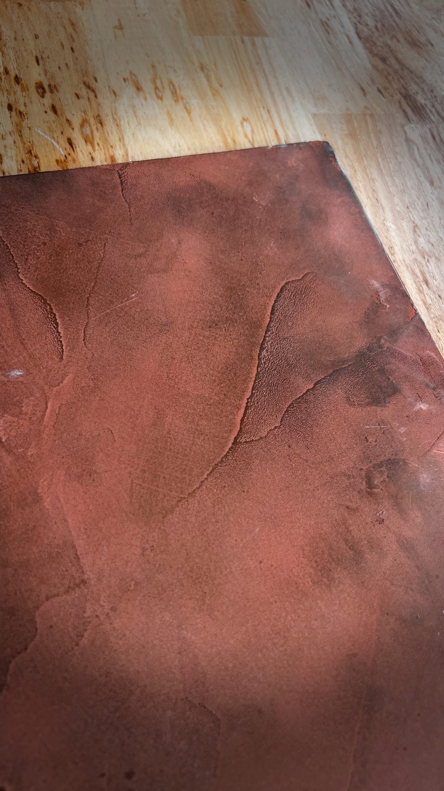 Venetian plaster feature wall — burnished hand-applied lime plaster by Limekote, Sunshine Coast