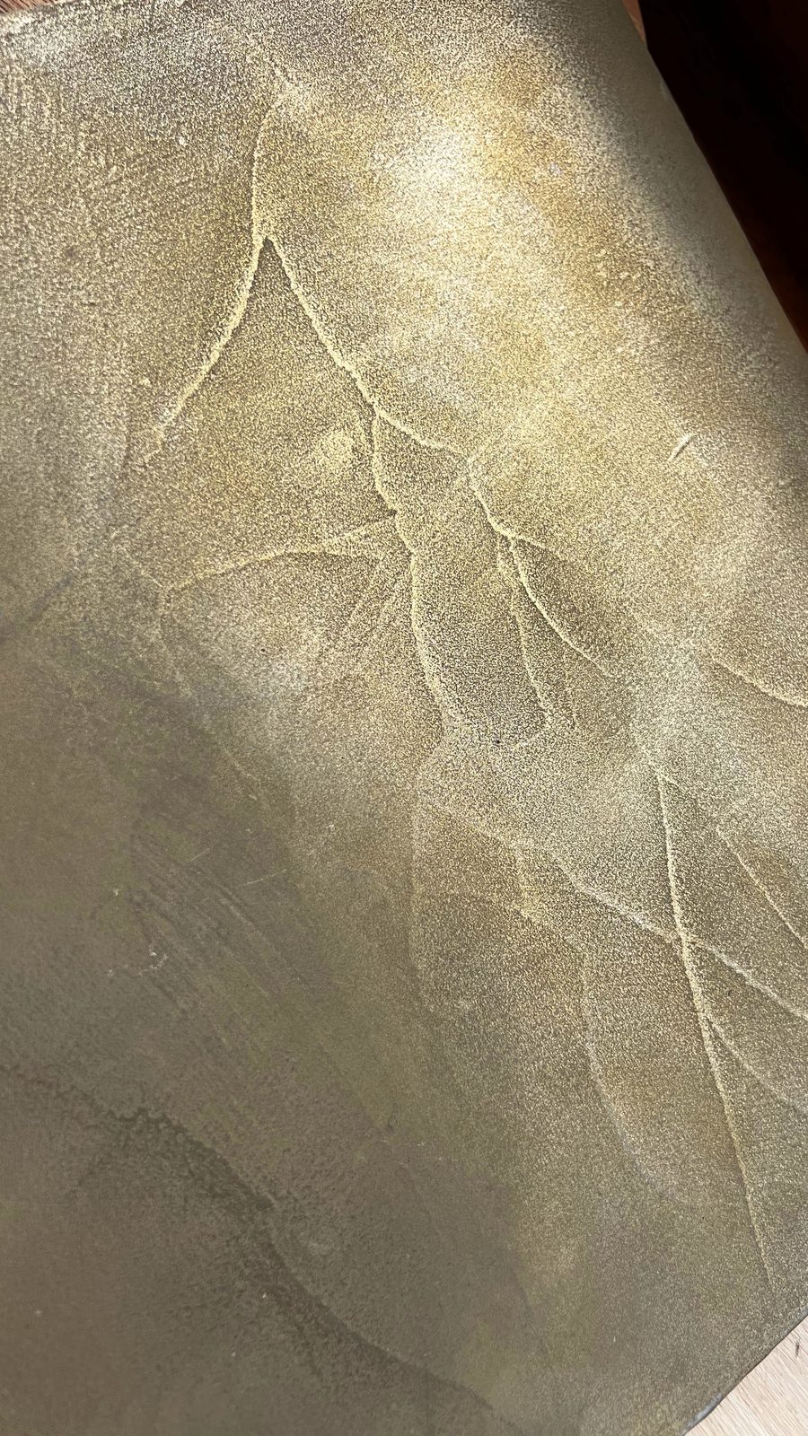 Seamless micro cement floor — continuous polished cementitious finish by Limekote, Sunshine Coast